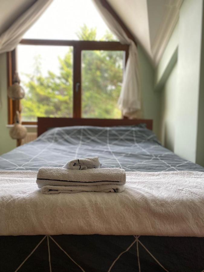 Otantik Havalimanina Yakin Villa Arnavutkoy Esterno foto